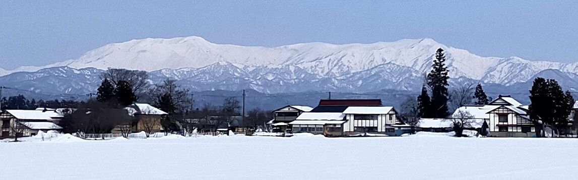 ナニコレ珍百景１